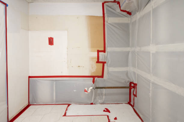 Best HVAC Mold Inspection and Cleaning  in Madrid, IA