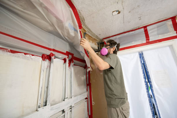 Best Mold Odor Removal Services  in Madrid, IA