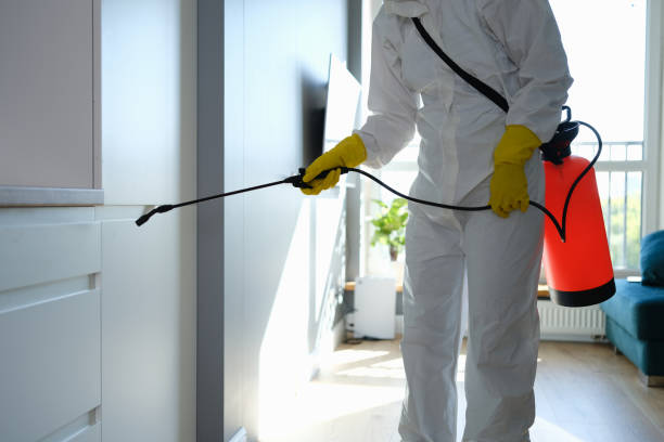 Best Asbestos and Lead Testing During Mold Inspection  in Madrid, IA