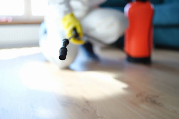 Dehumidification Services in Madrid, IA
