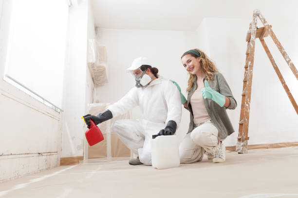 Best Attic Mold Removal  in Madrid, IA
