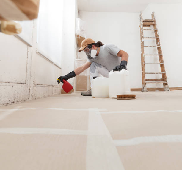 Best Post-Remediation Verification Testing  in Madrid, IA