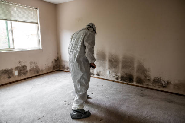 Best Residential Mold Inspection & Testing  in Madrid, IA